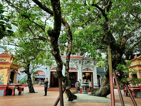 Quels sont les conseils pour une immersion culturelle dans les tribus du nord de la Thaïlande ?