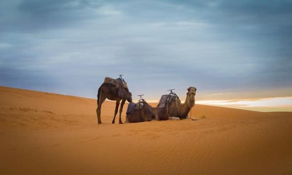 Comment faire une randonnée dans le désert du Sahara en respectant l'environnement local?